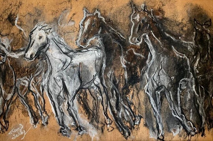 Charcoal drawing of horses galloping