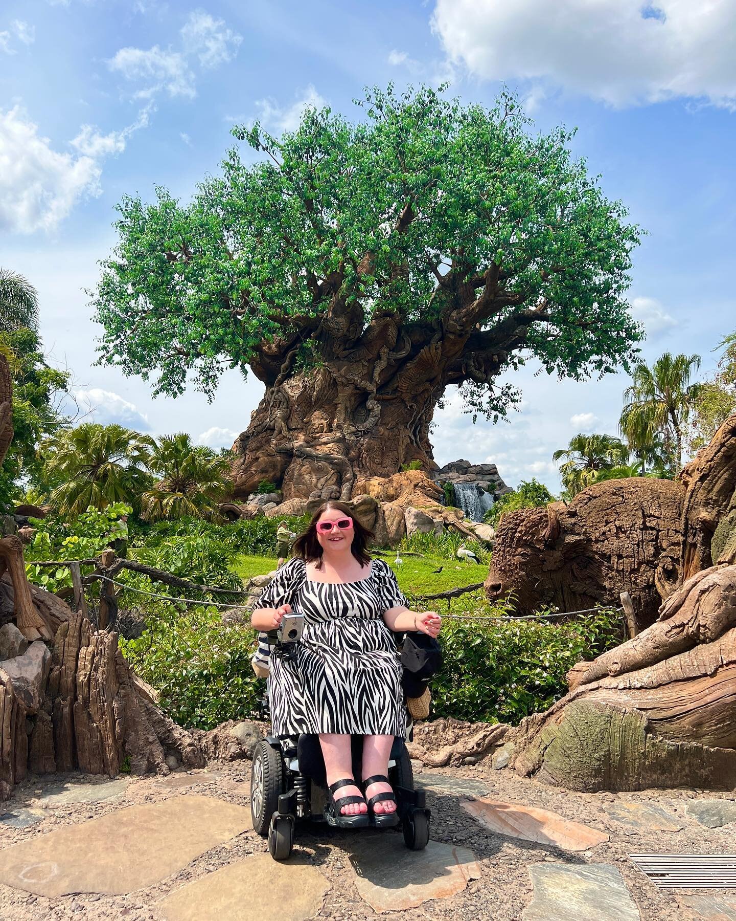 Animal Kingdom 🦒🐘🐠🦁

We&rsquo;ve been twice on this trip and I love it so much! The shows were incredible, we&rsquo;ve seen 
- Feathered Friends in Flight
- Finding Nemo: The big blue and beyond!
- Festival of the Lion King

There&rsquo;s not as 