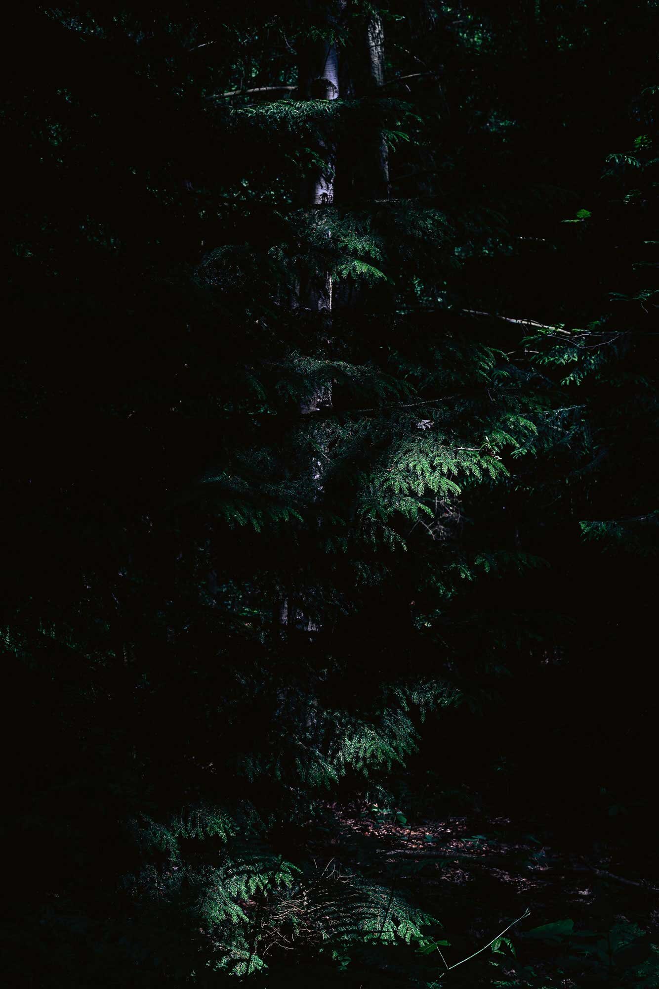 47.jpg