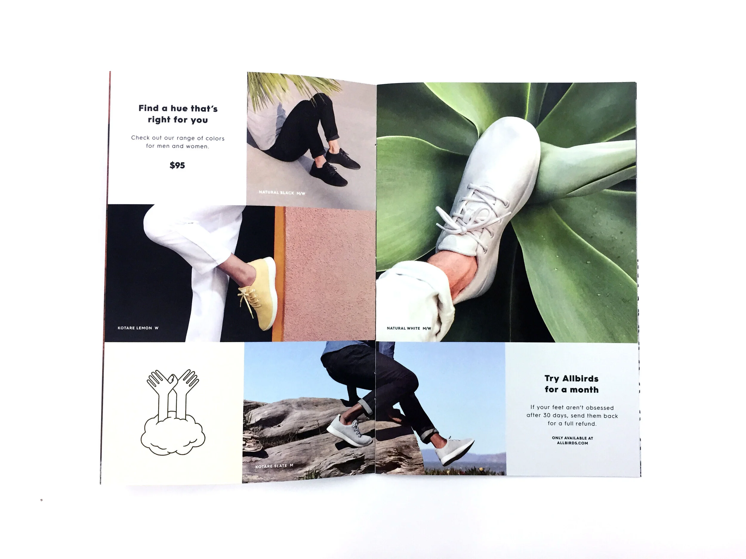 Allbirds_mailer_Fall_interior_3.jpg
