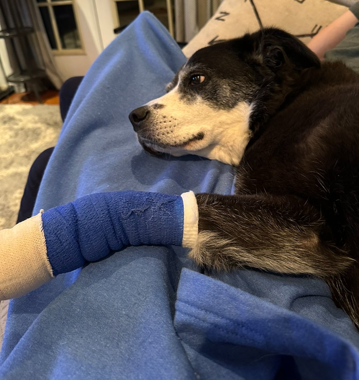 Overcoming Running Injuries: The Mindset & Mental Strength Approach