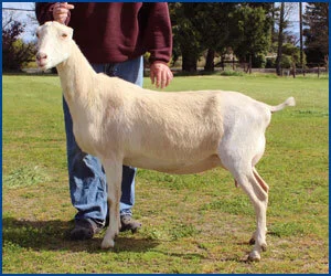 Prairie Thyme Farm photo 17