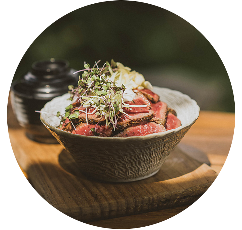 Niku-Don
