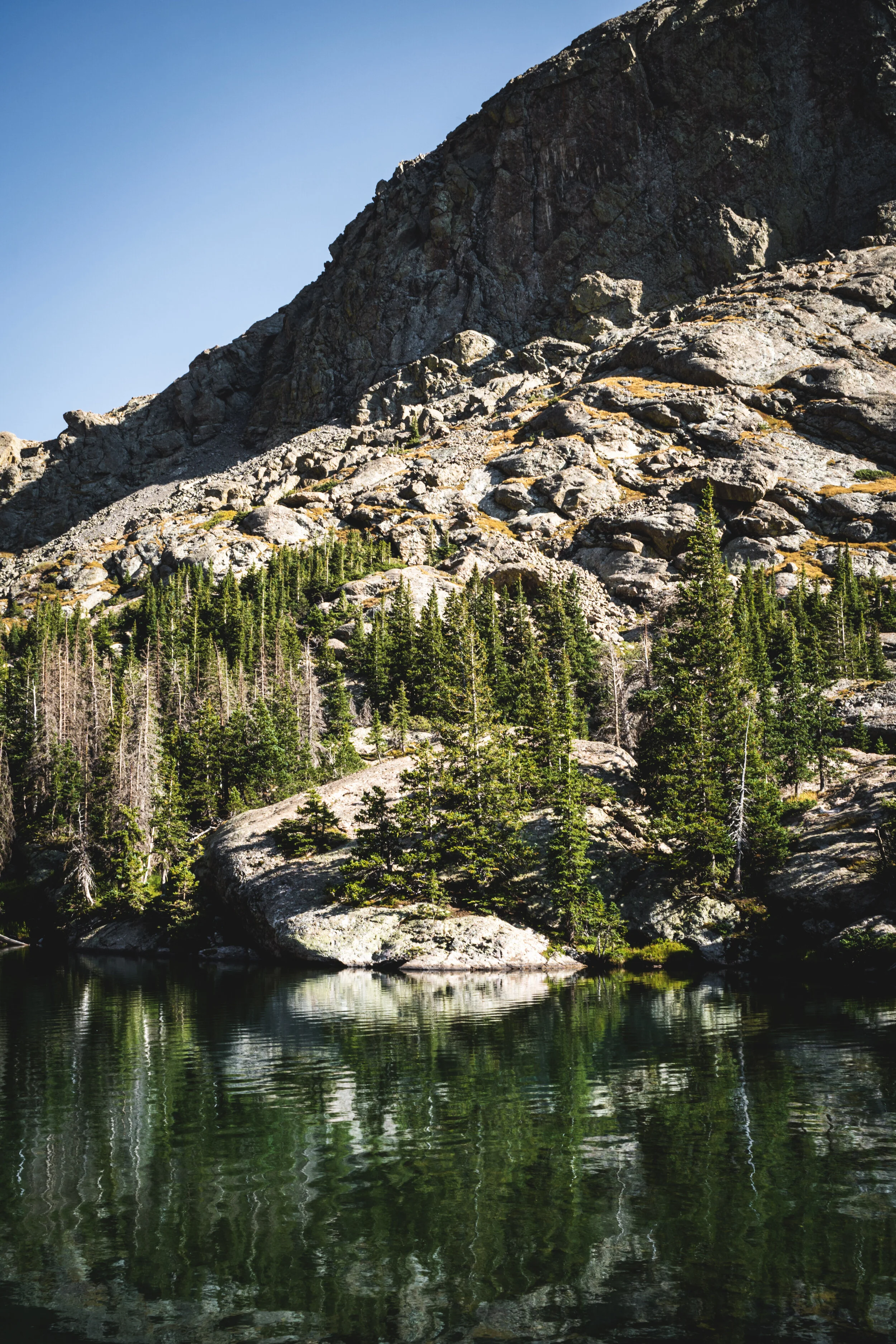 _A631026-1.jpg