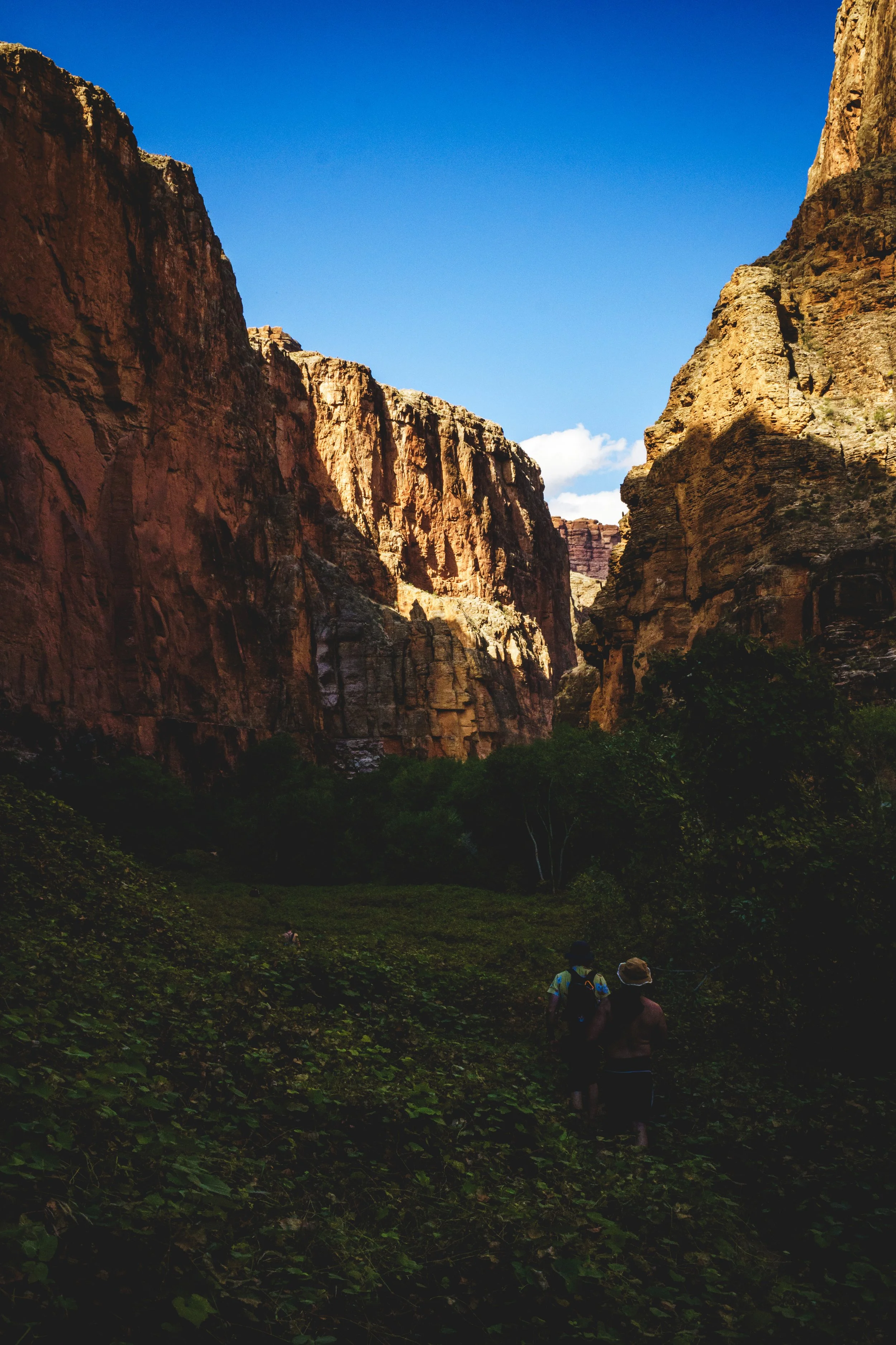 _A636972(2).jpg