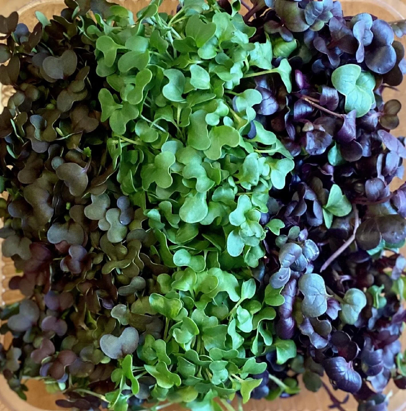 Spicy Mix
