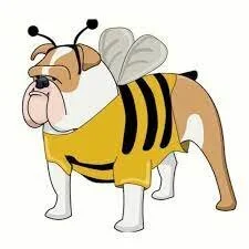 The Buzz CT | Eat Your Greens!