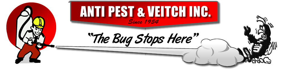 Anti Pest &amp; Veitch