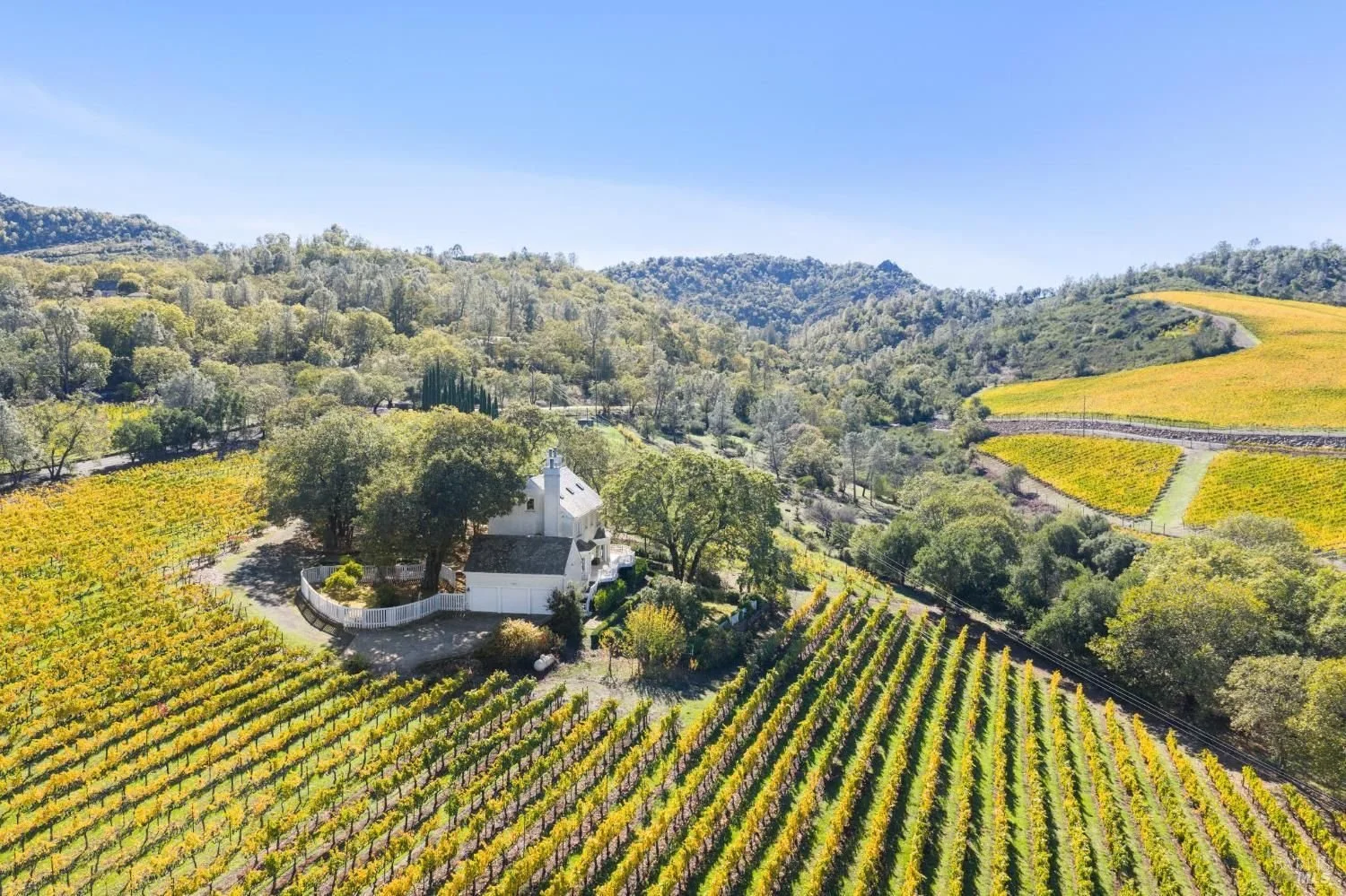 Vineyard Properties
