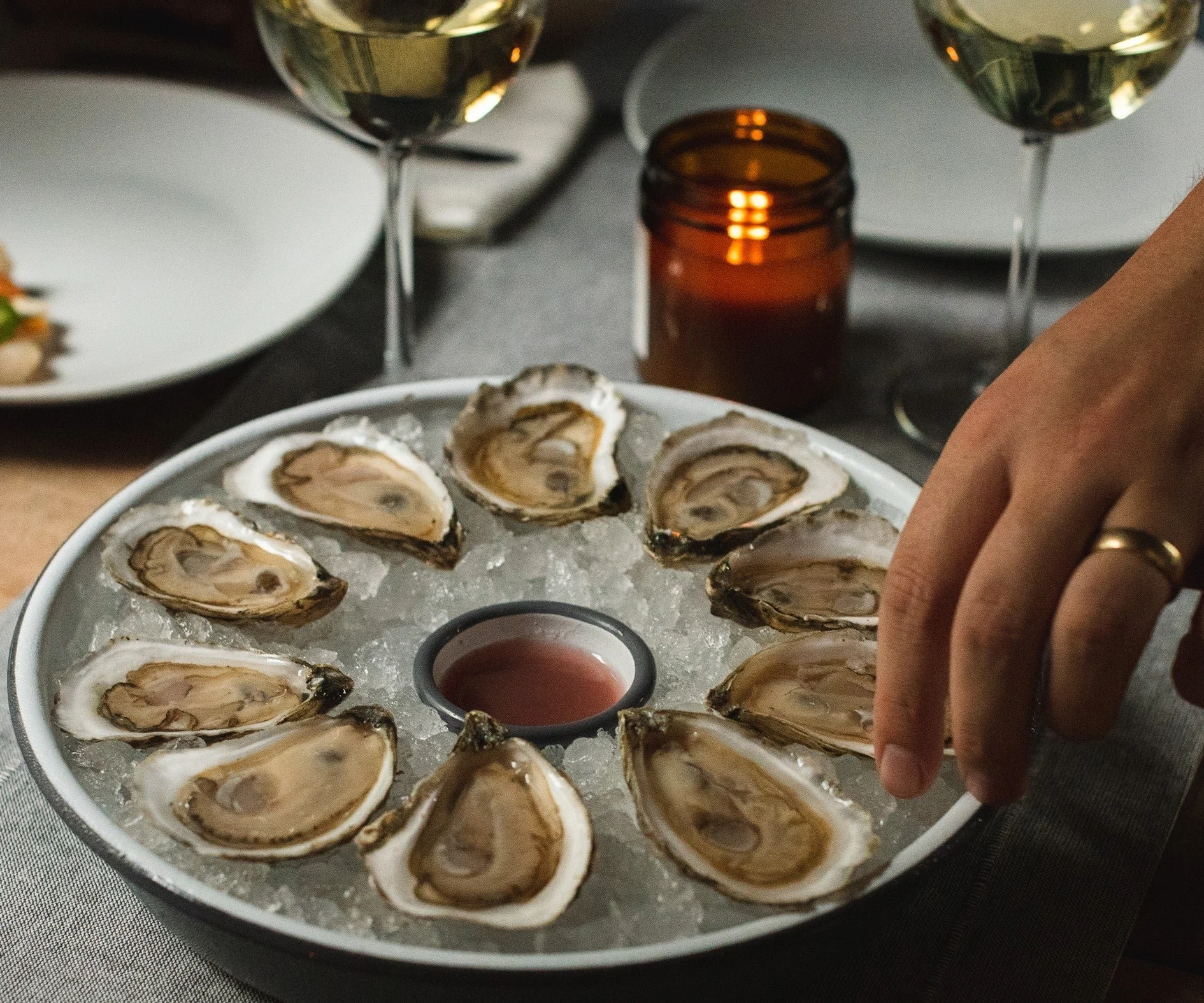 OYSTER.jpg