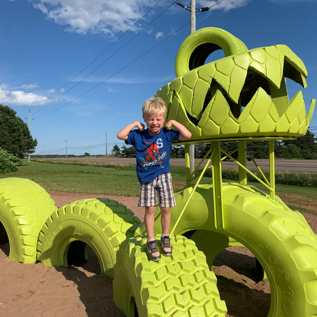 Fun Park — Fortune Bridge Farms