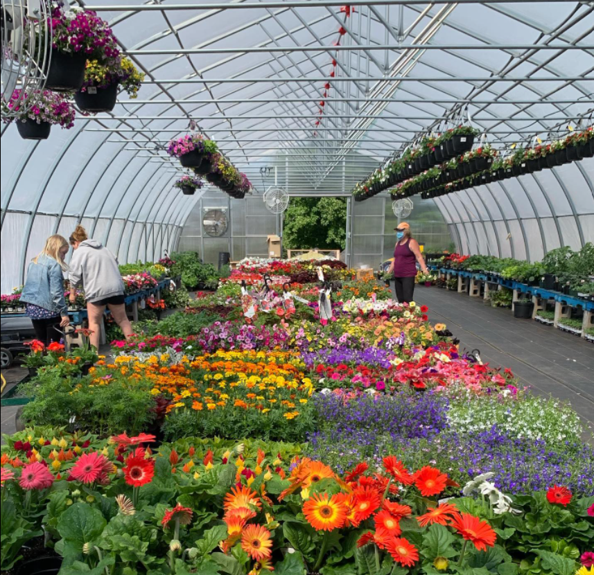 Toby's Farm Market — Fortune Bridge Farms