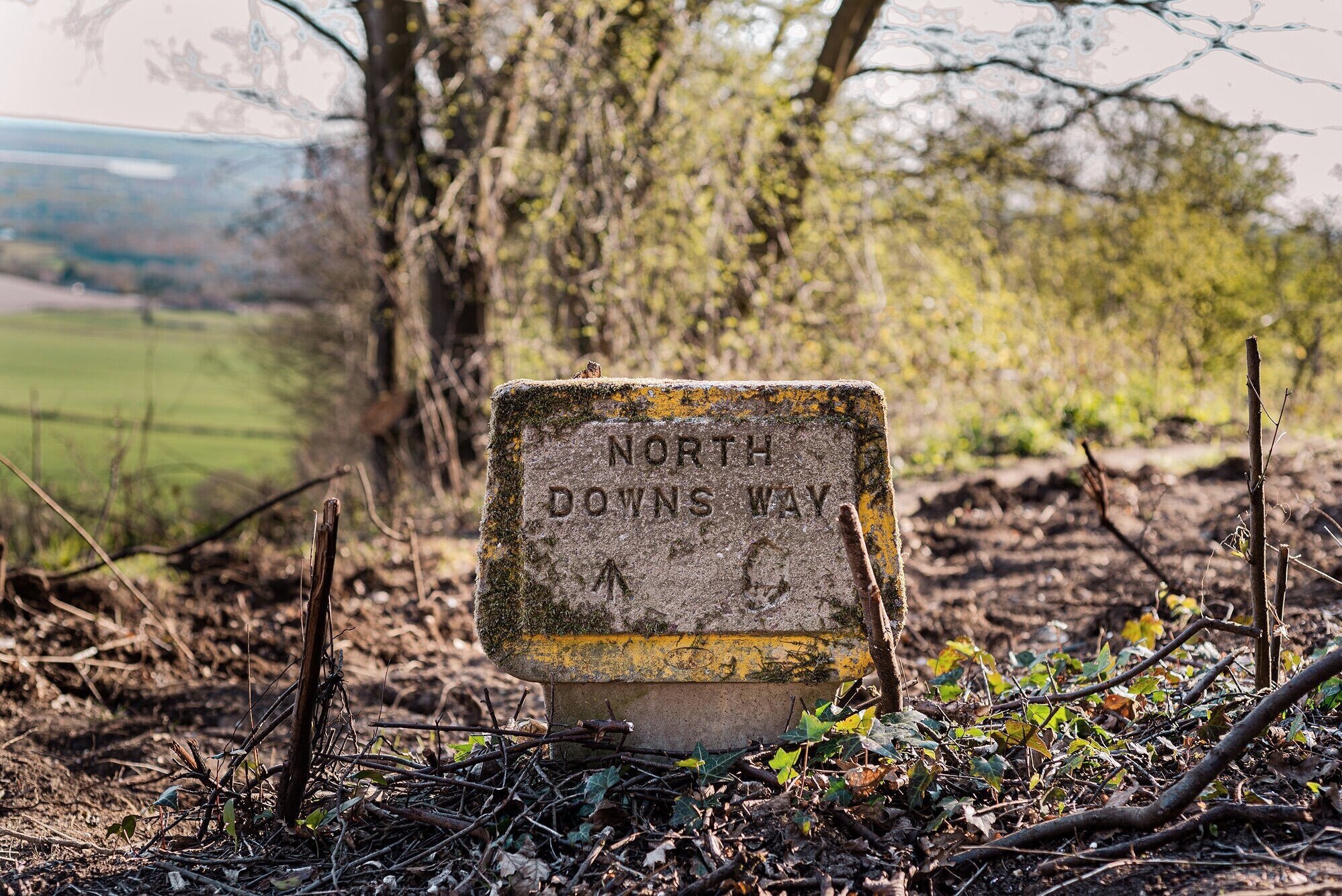 Fieldtrip Sustainable Camping Uk Field7