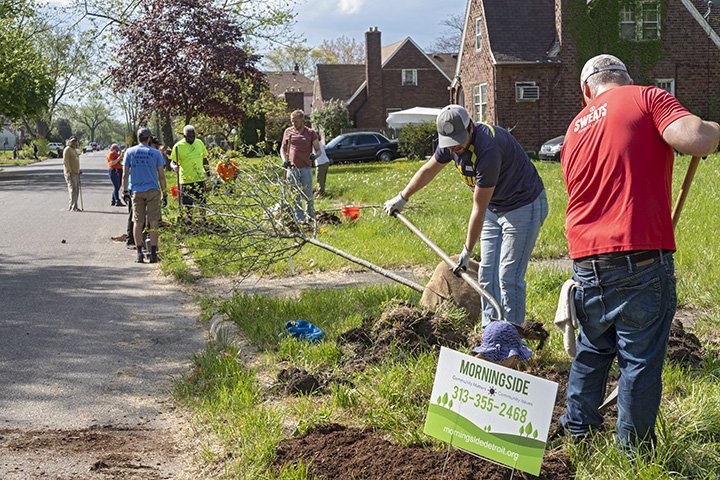 Greening of Detroit Partners with MCO to Plant 40 Trees in MorningSide