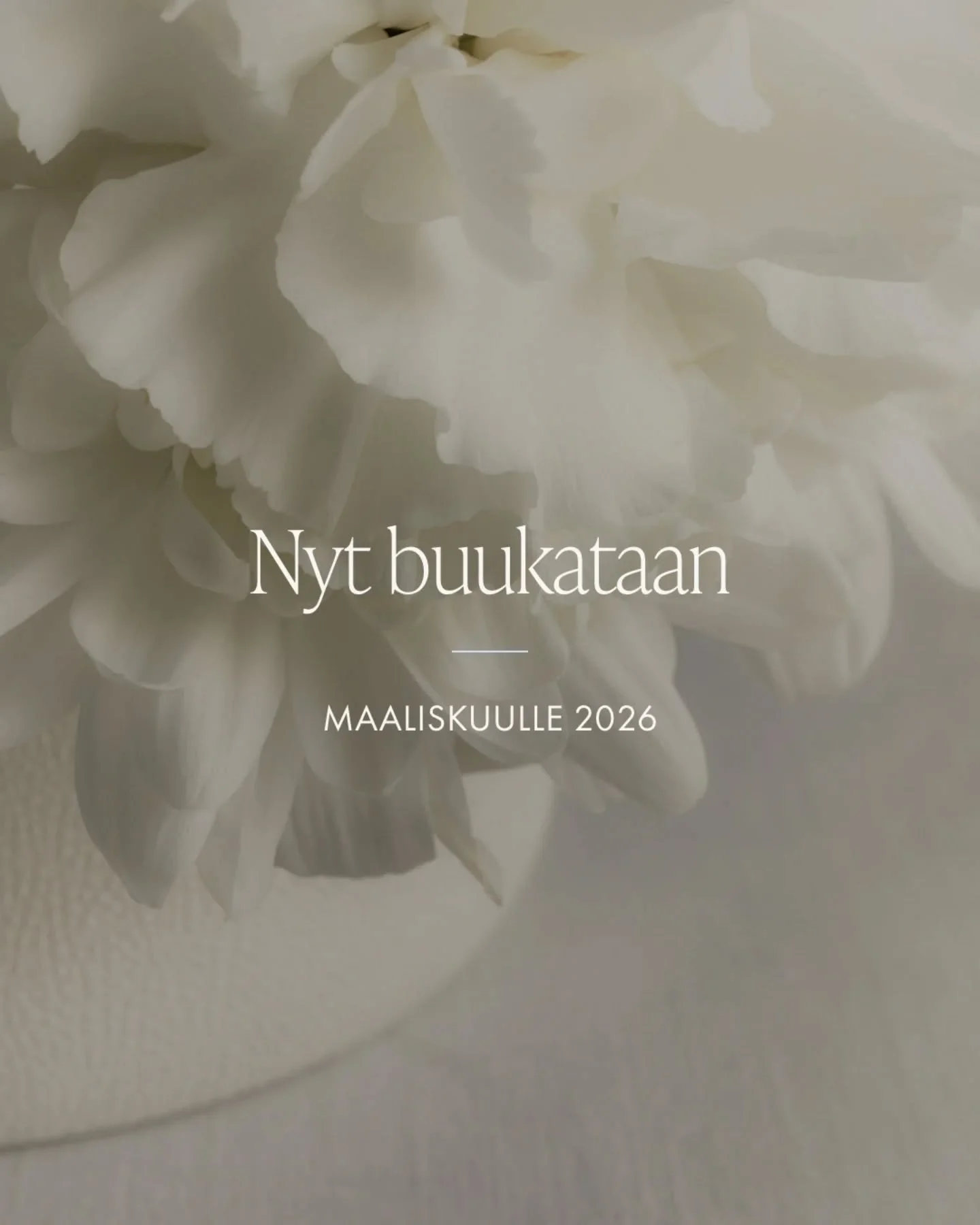 M A A L I S K U U  2 0 2 6 // T&auml;ll&auml; hetkell&auml; varauskirjat uusia asiakkaita varten ovat auki maaliskuun kohdalta. Se onkin loistava ajankohta alkaa ty&ouml;st&auml;&auml; br&auml;ndi- tai websuunnittelu projektia niin ett&auml; kes&auml