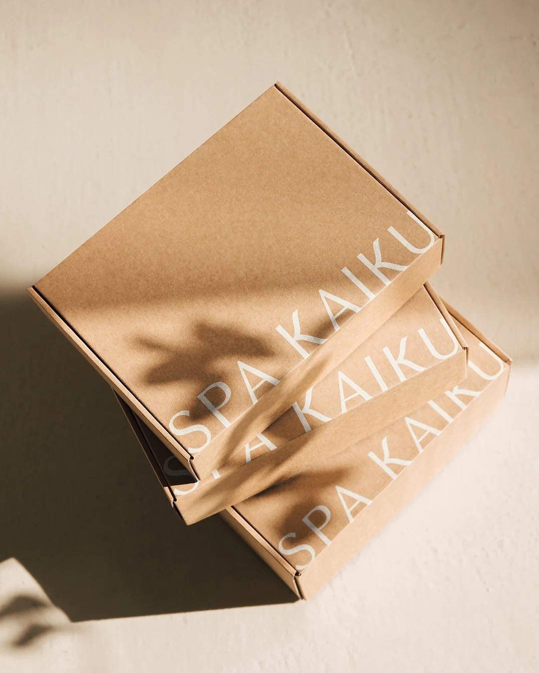 SpaKaiku-Logo-Boxi.jpg