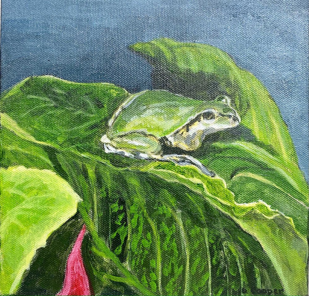Lot #7 The Frog