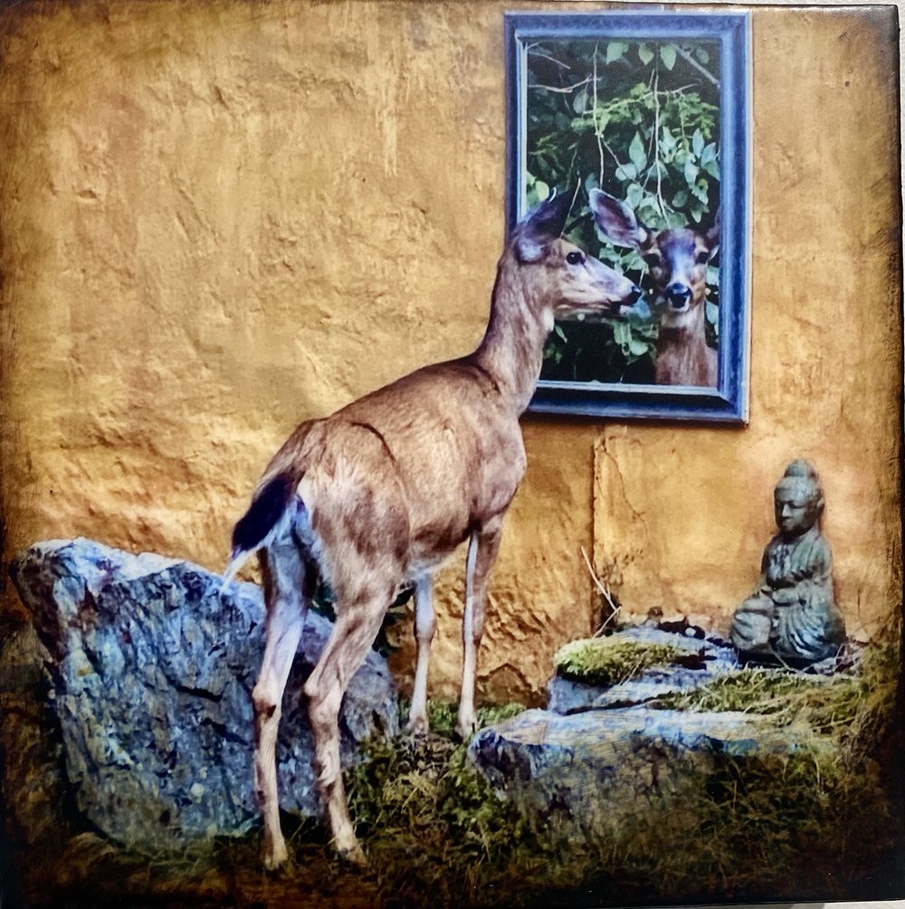 Lot #15 Deer in the Mirror - A Taste of Eternity