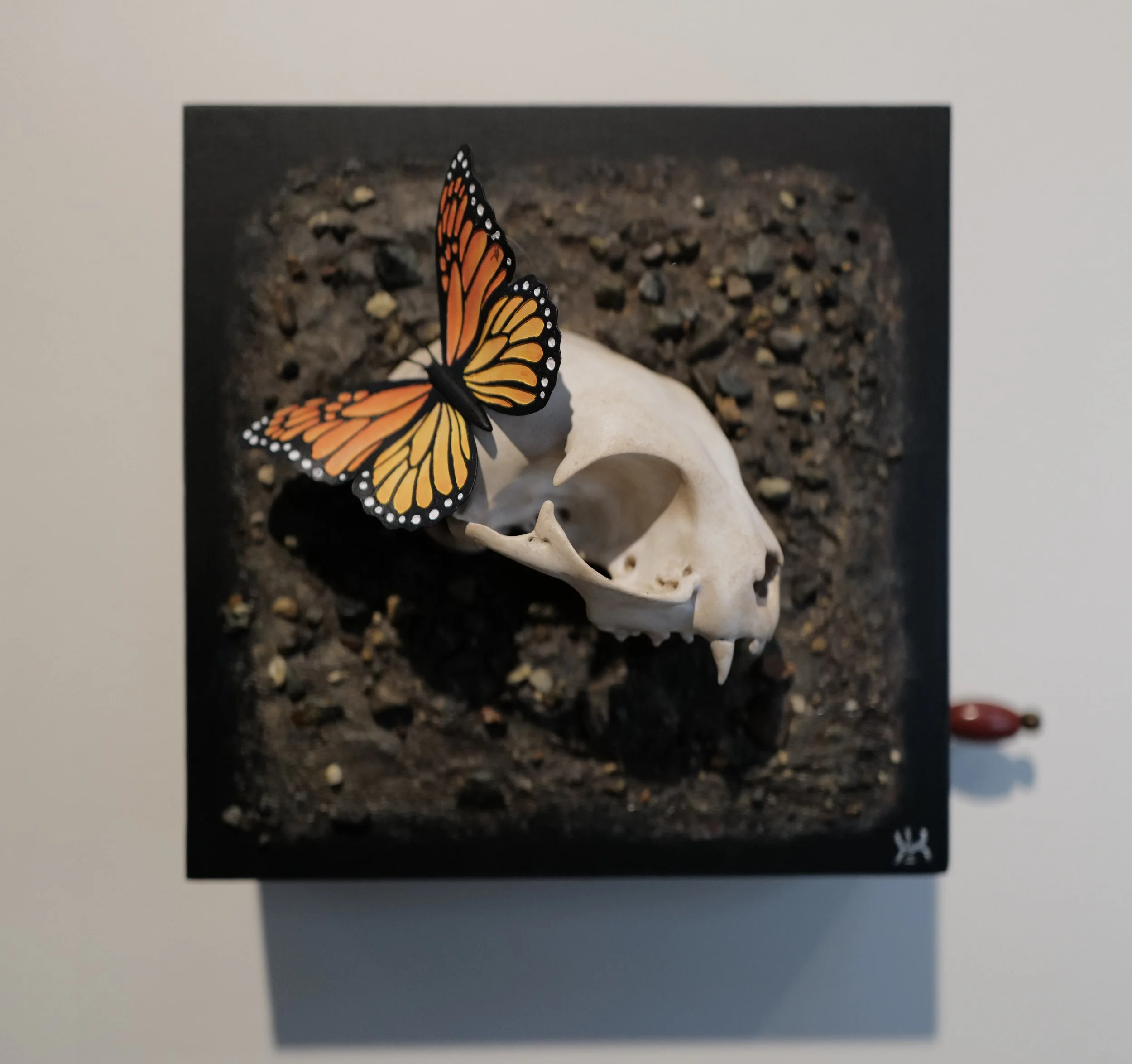 Katie McCloskey + Keith Davidson