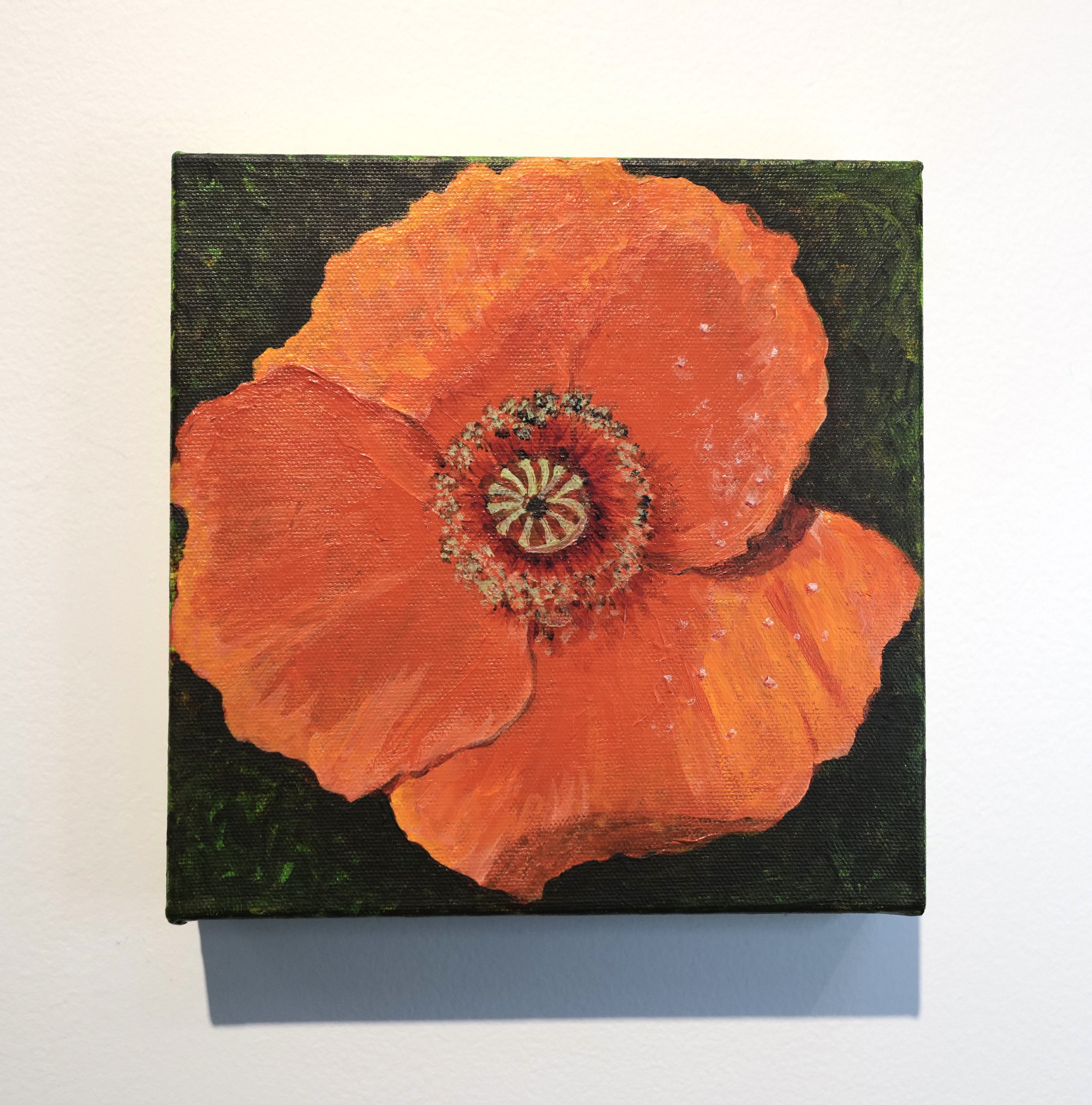 Judy Willoughby - Price