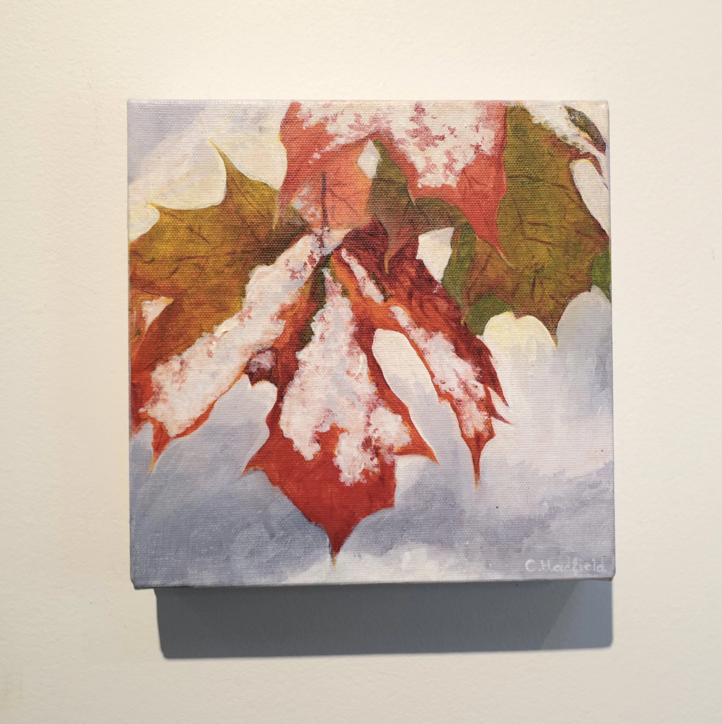 Caroline Hadfield McDonald