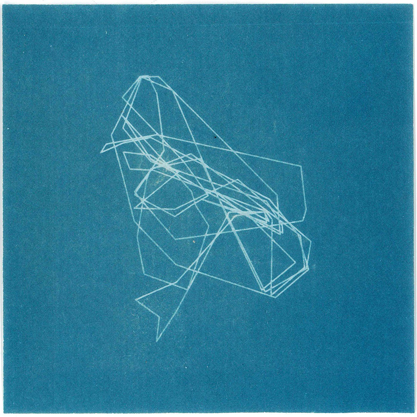 wire cyanotypes 1.jpg
