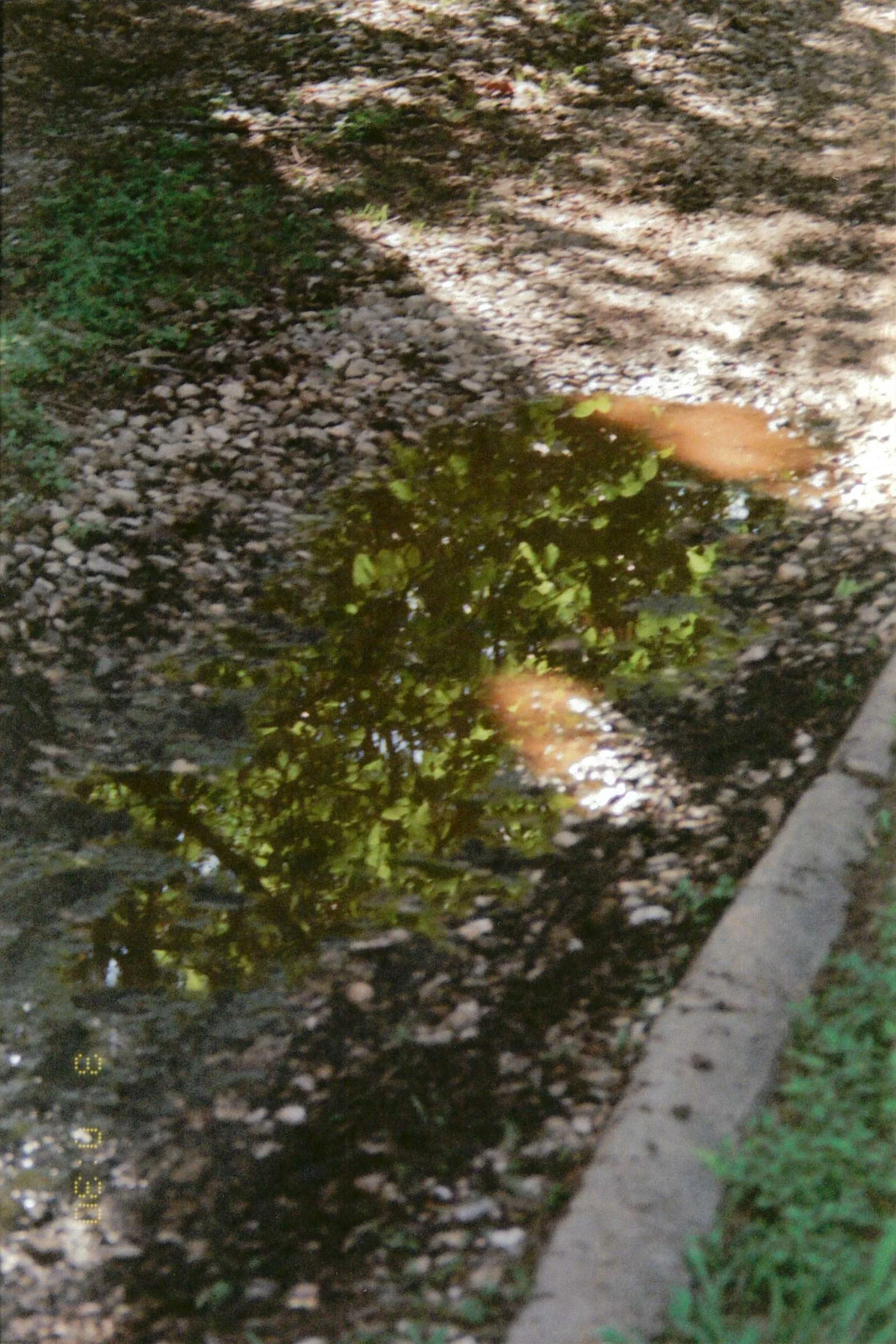 puddle