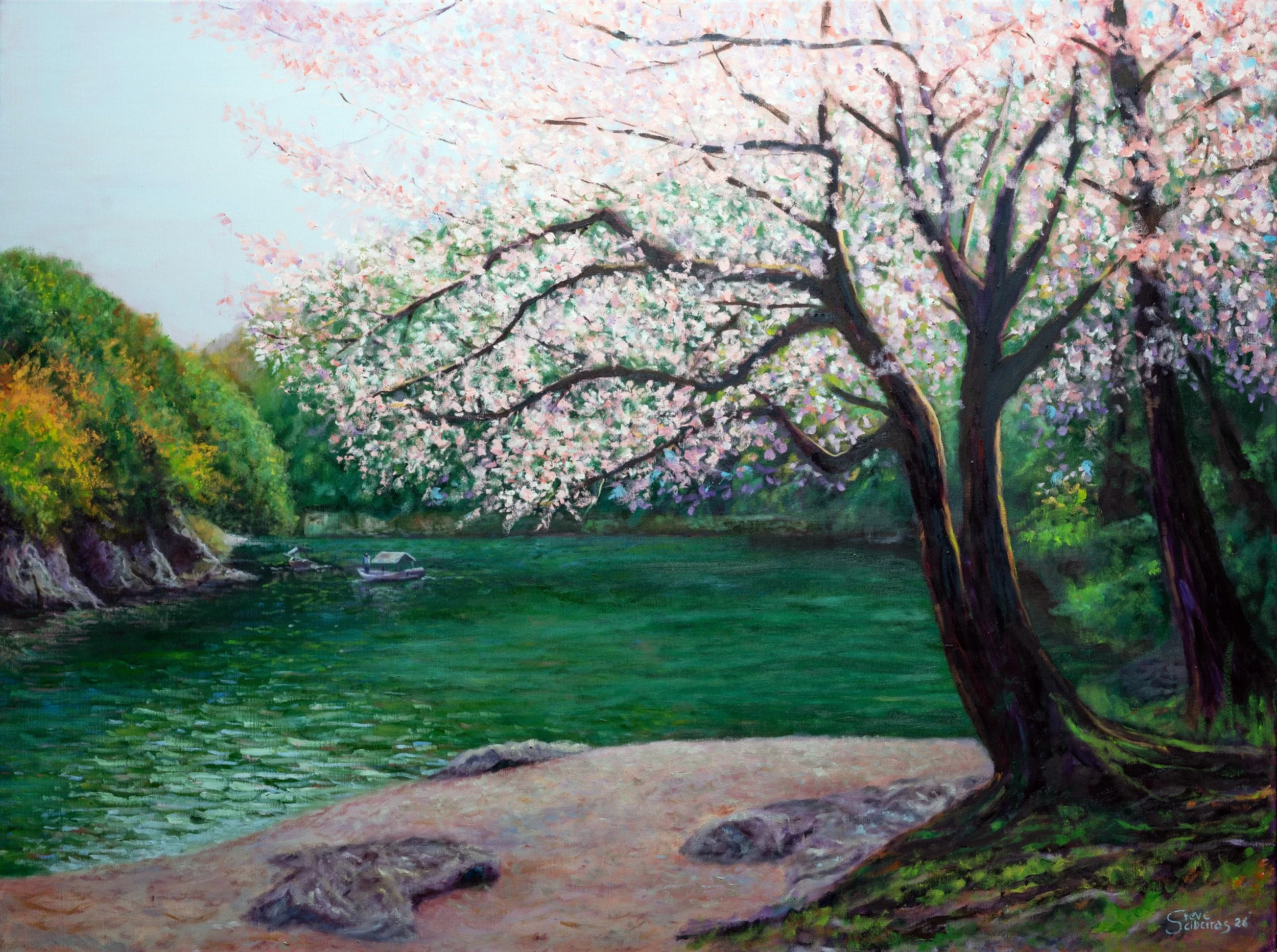 Cherry-blossom-steve-sciberras-allura.jpg