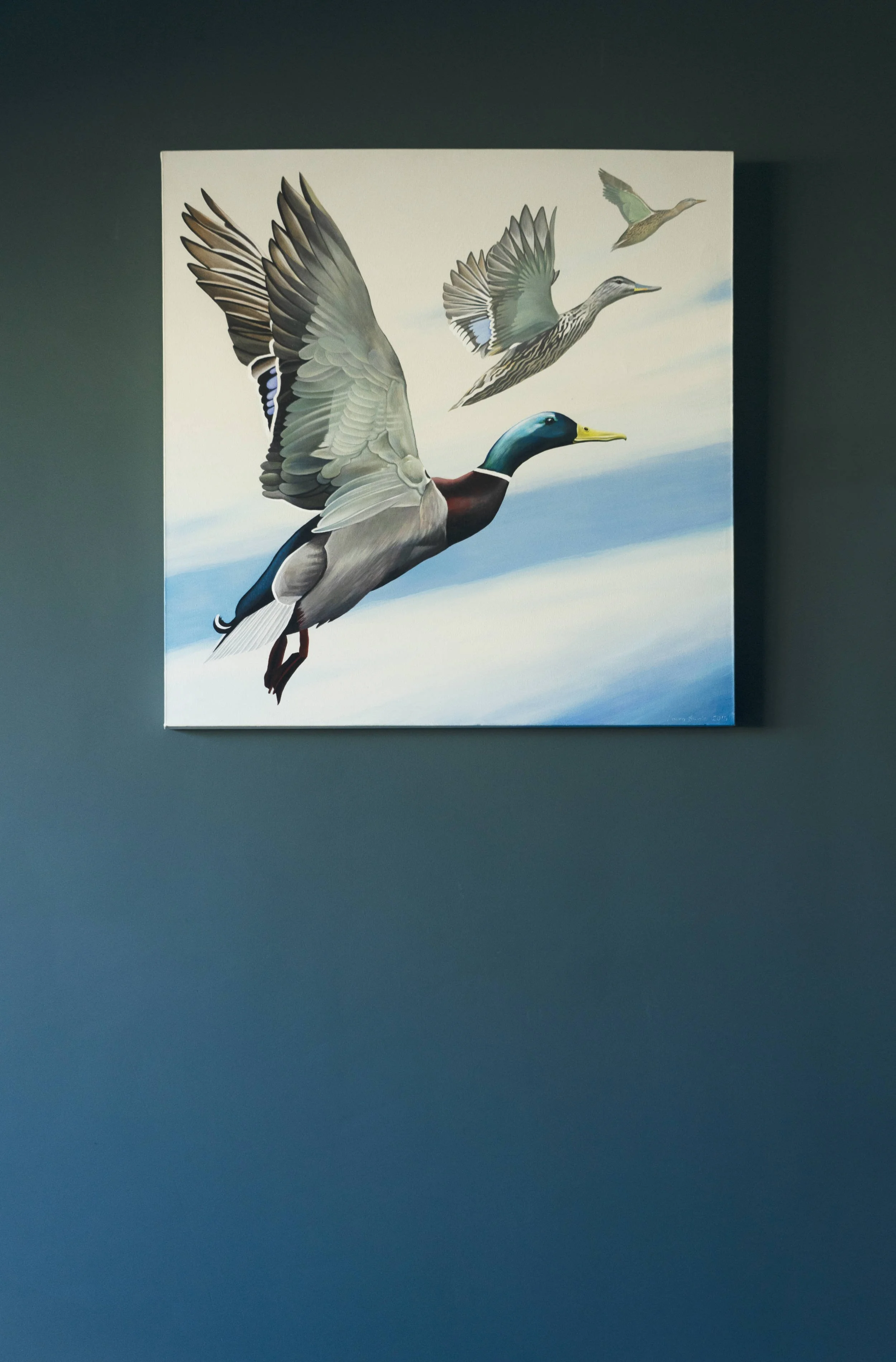 Ducks by Laura Swale