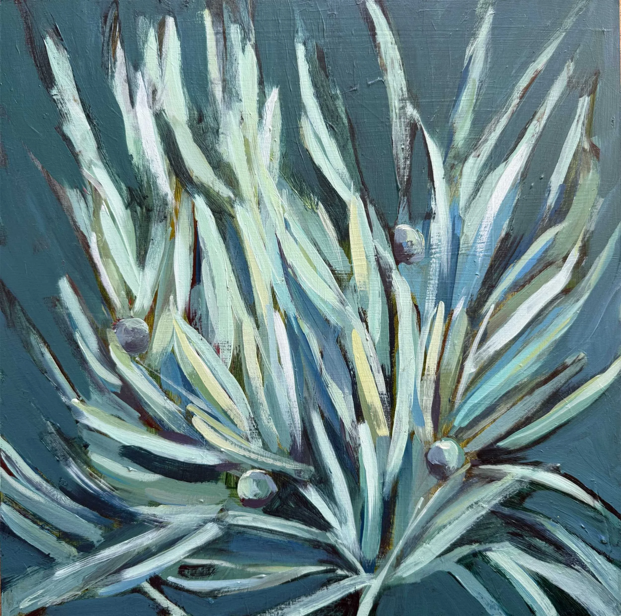 Close up olive tree painting for sale on Allura Art.