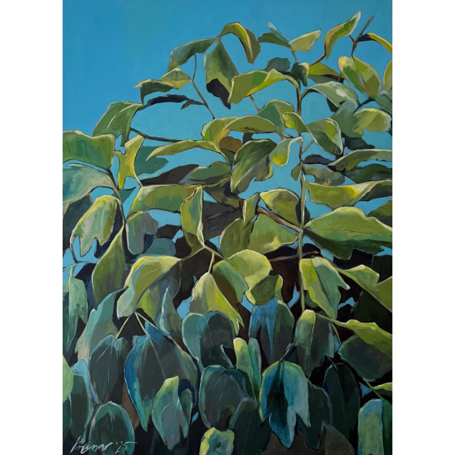 big-fig-square-lisa-cassar-allura.jpg