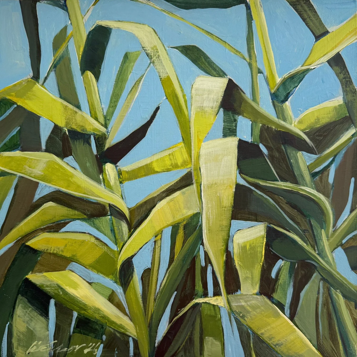 Giant reeds fill the frame on this close up acrylic painting by Lisa Cassar