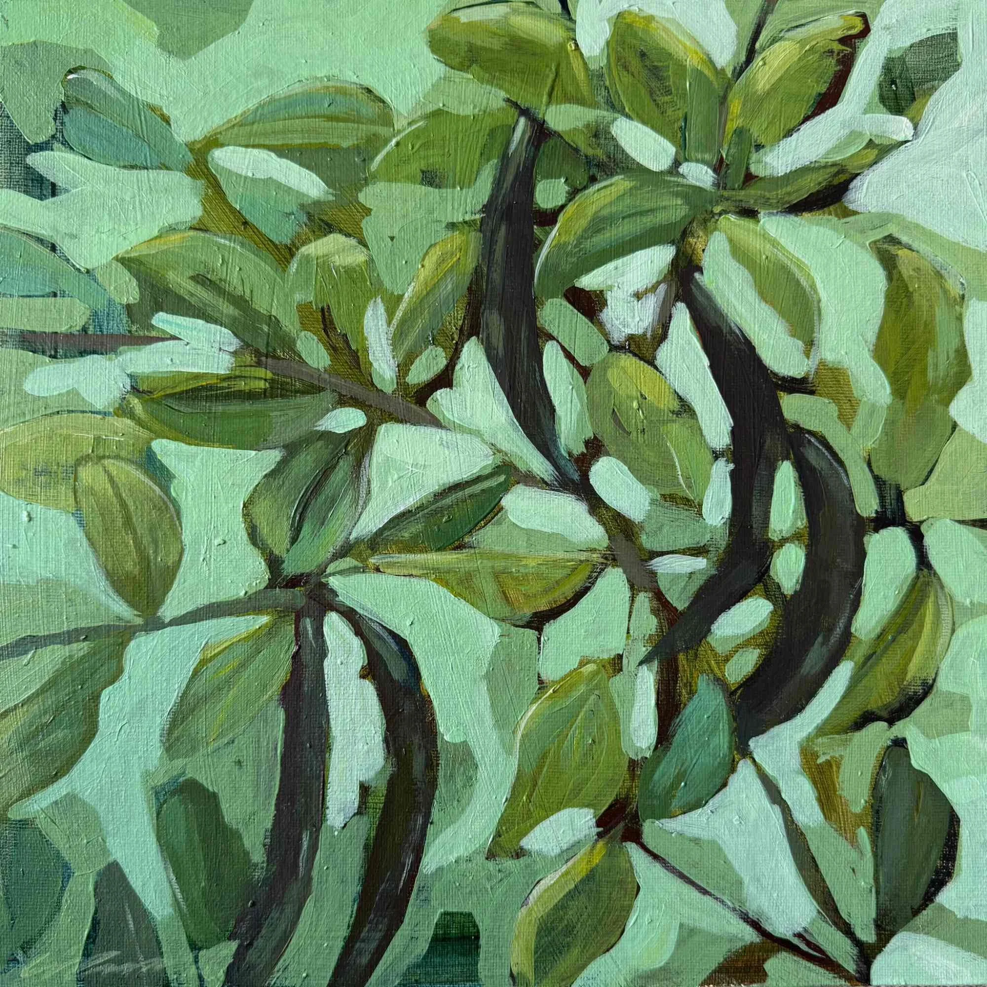 Under the Carob by Lisa Cassar