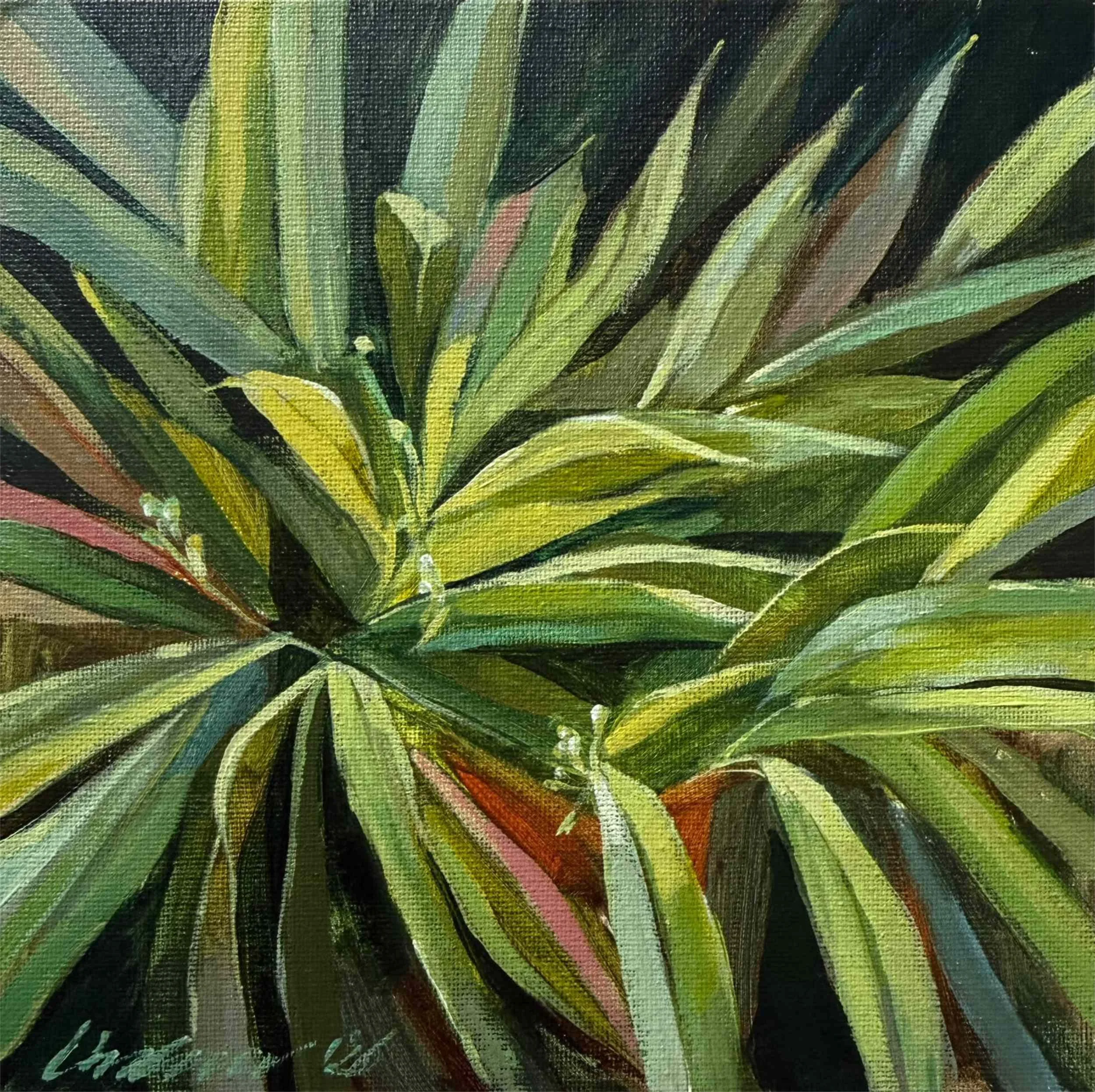 Small close up painting of plant in shades of greens and reds