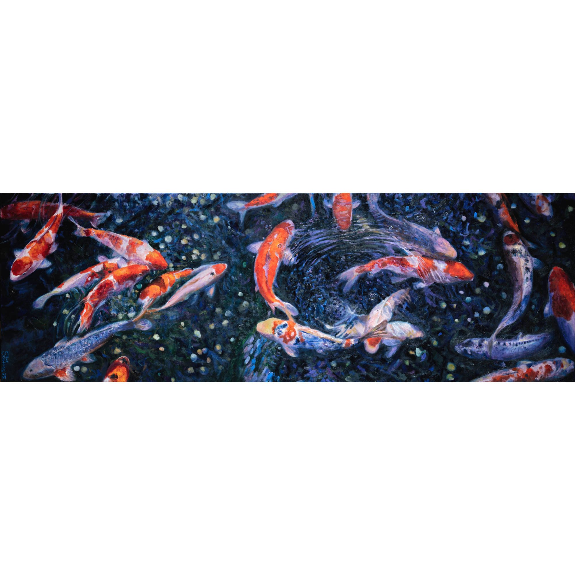 koi-in-motion-square-steve-sciberras-allura.jpg