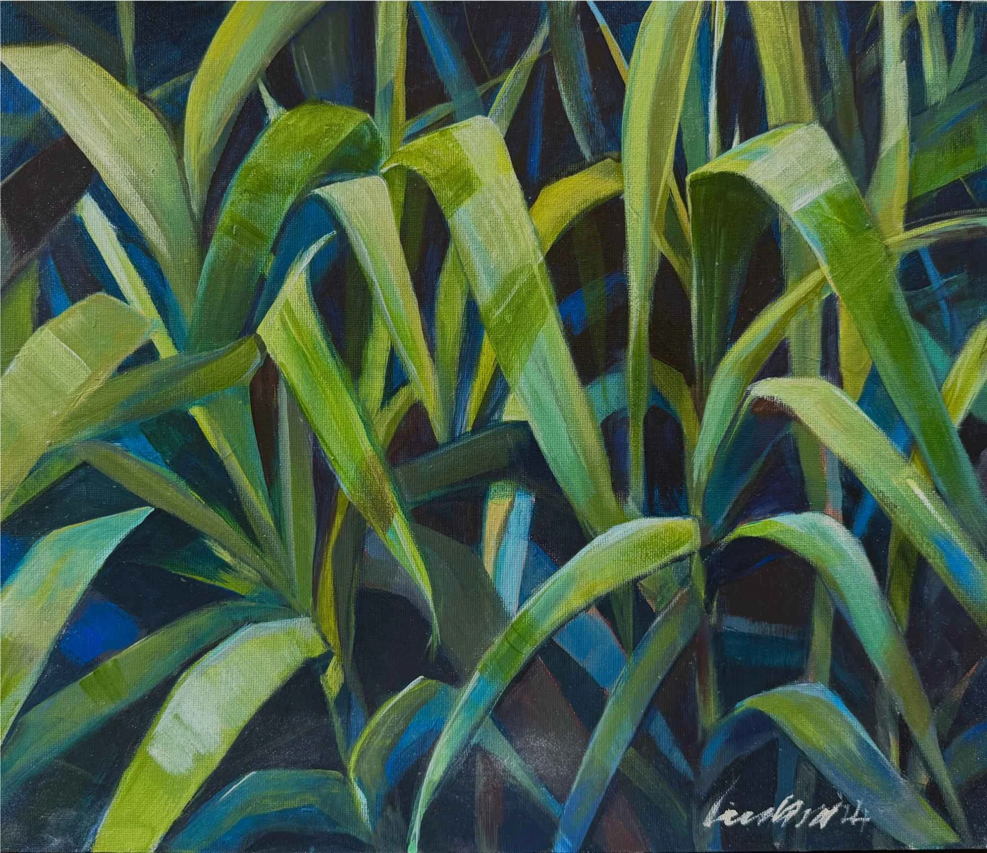 Walk Again by Lisa cassar