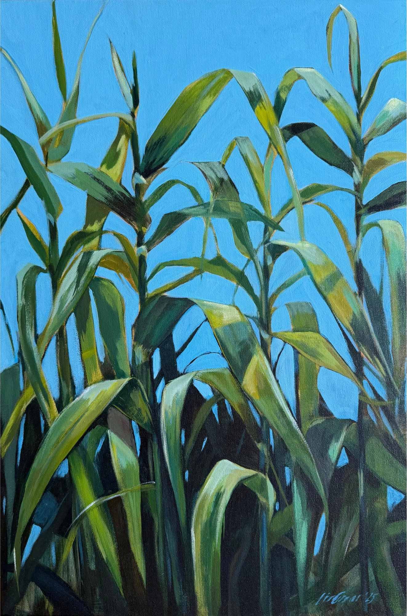 All in a Row by Lisa Cassar