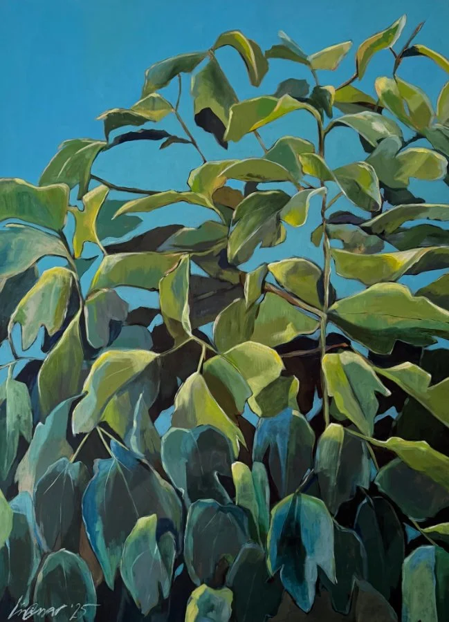 Big Fig by Lisa cassar