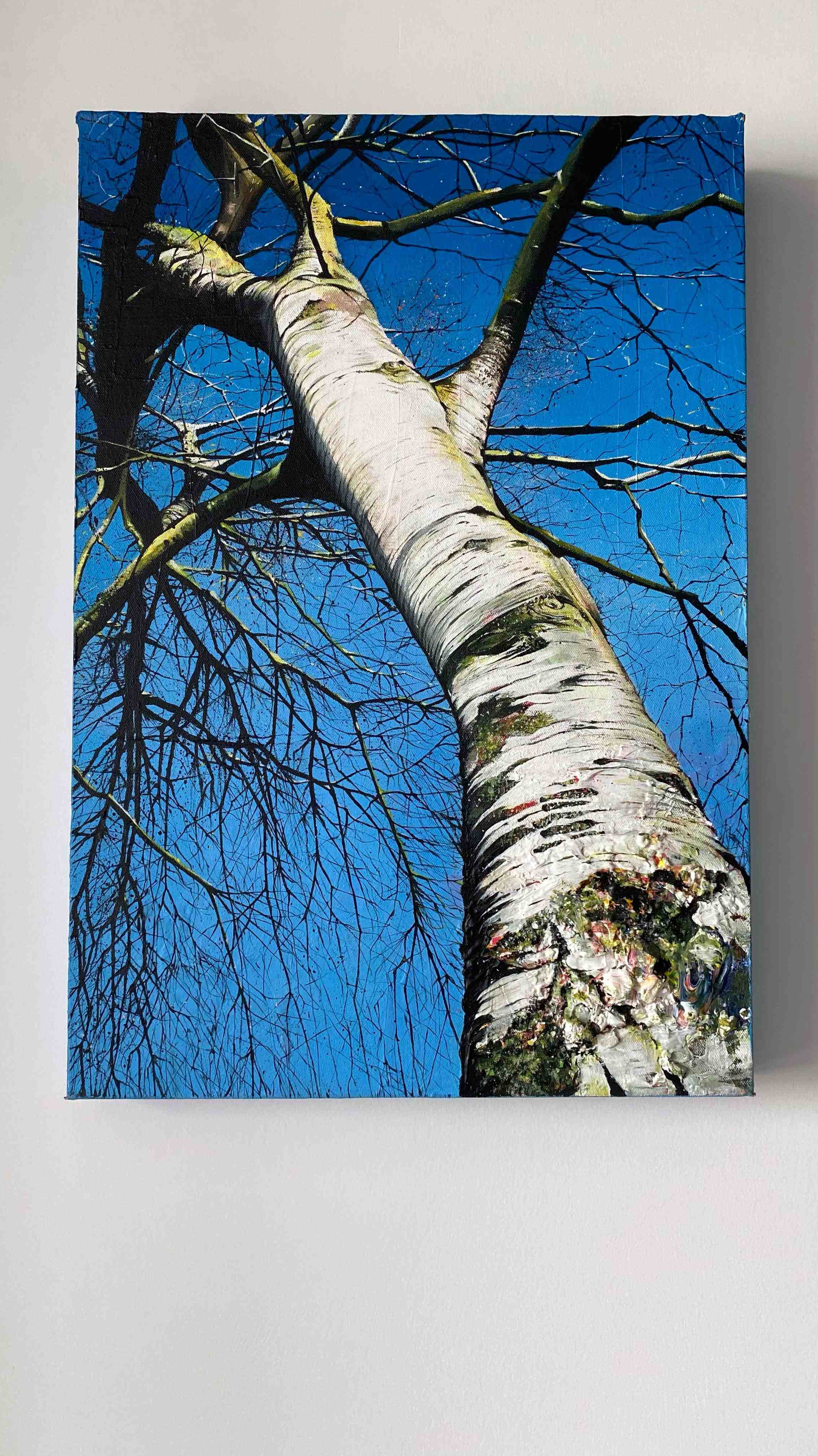 Silver Birch by Laura Swale