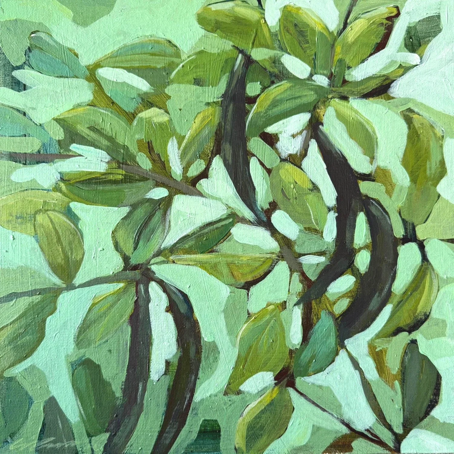 Carob tree foliage and some ripe pods in front of a mint coloured background on Lisa Cassar's acrylic painting