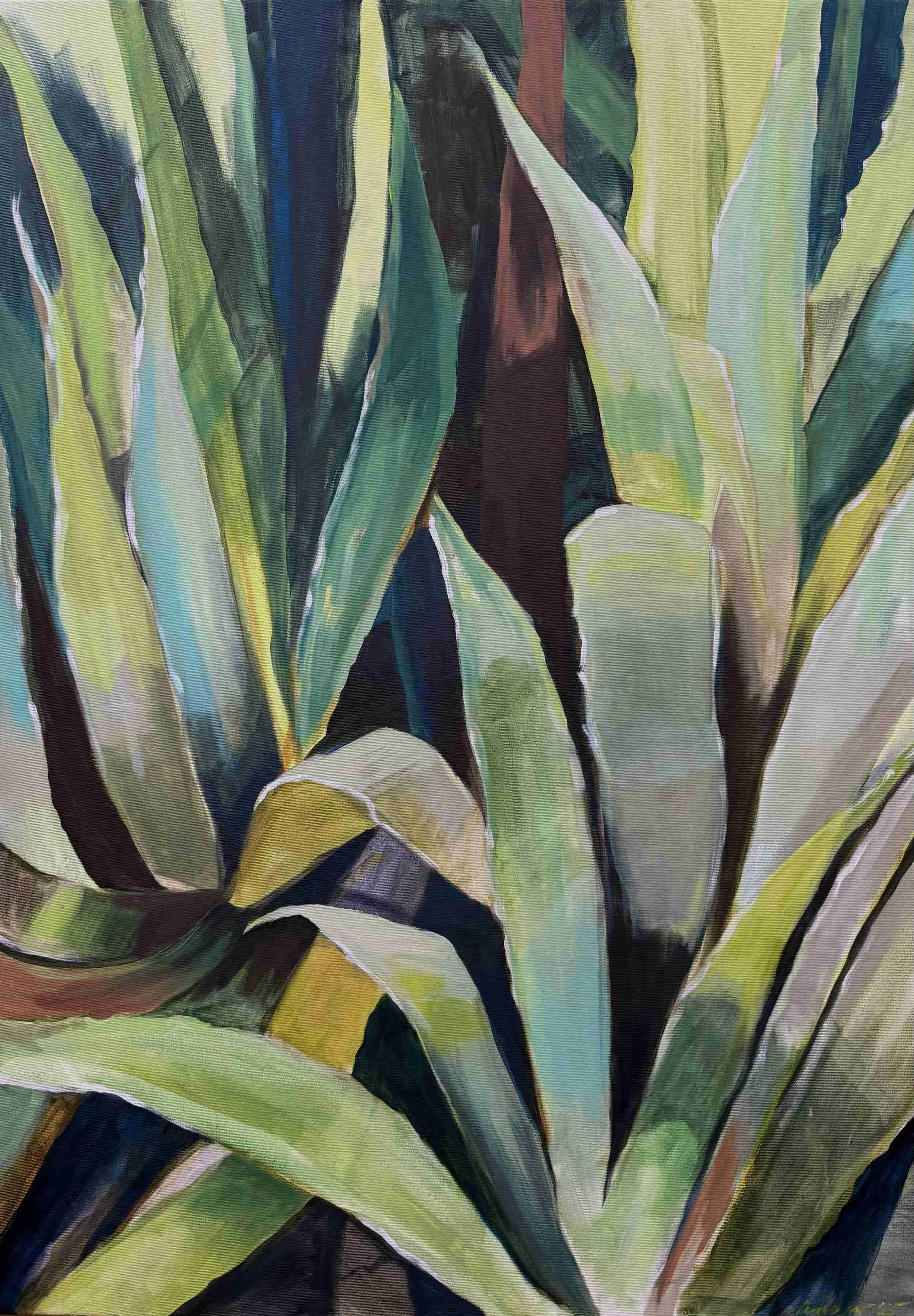 Agave plant filling the large frame of Lisa Cassar's canvas