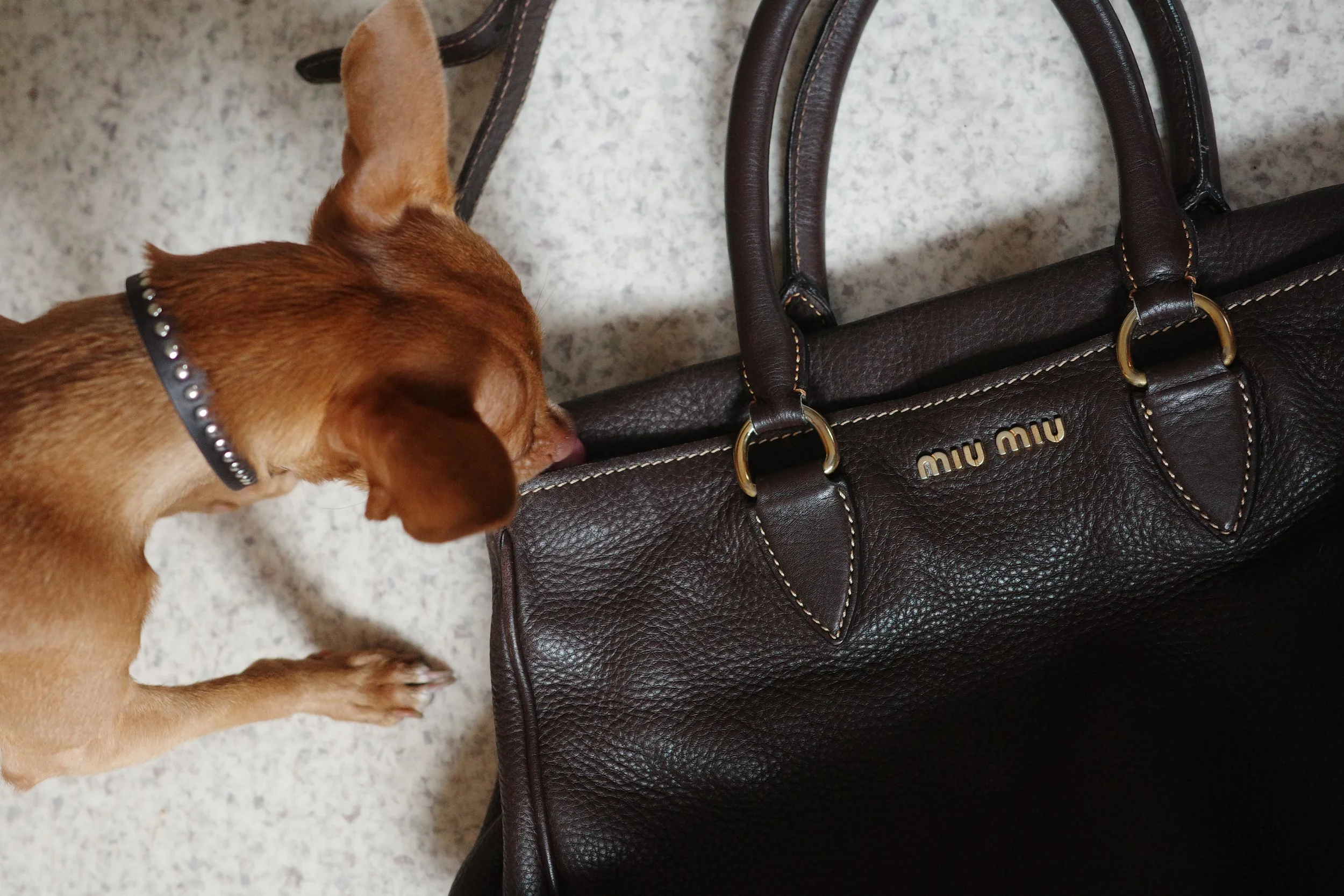 Chocolate Brown Miu Miu Leather  Suitcase Bag