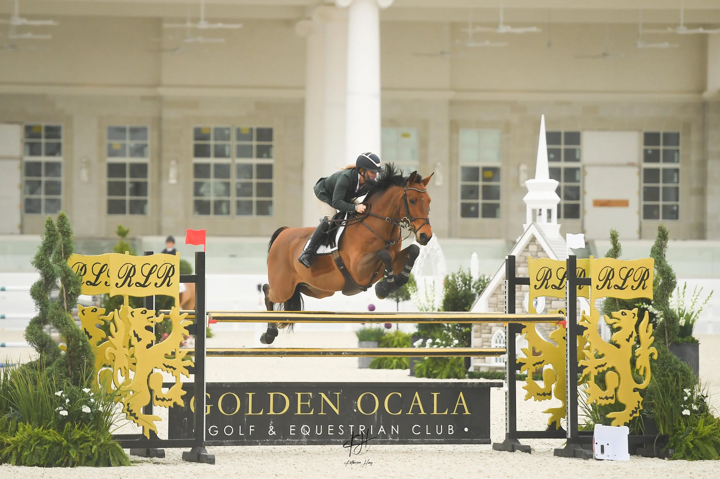 Gallery — Punchestown Stable