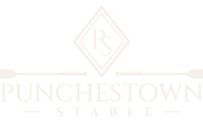 Punchestown Stable