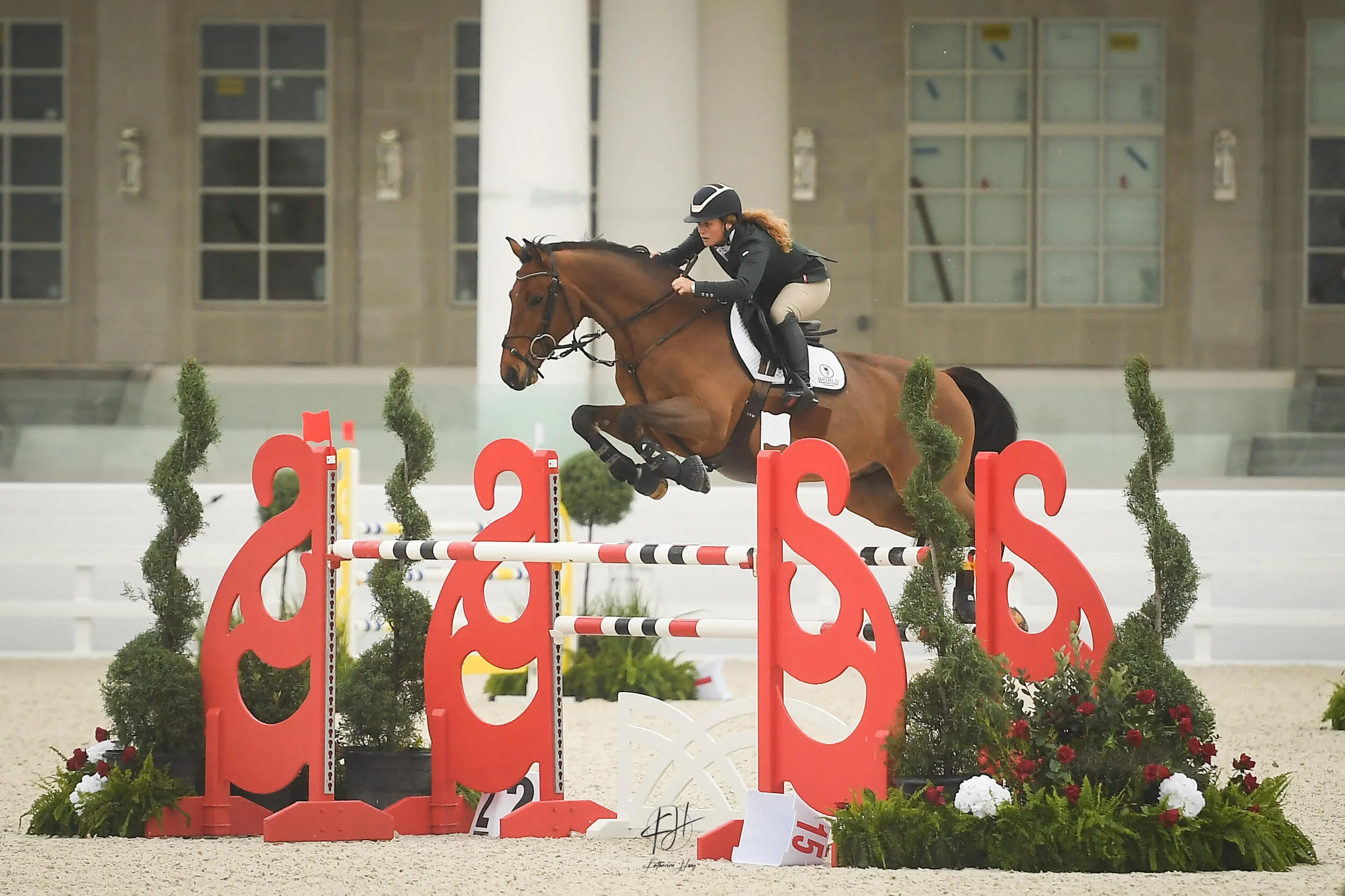 Gallery — Punchestown Stable