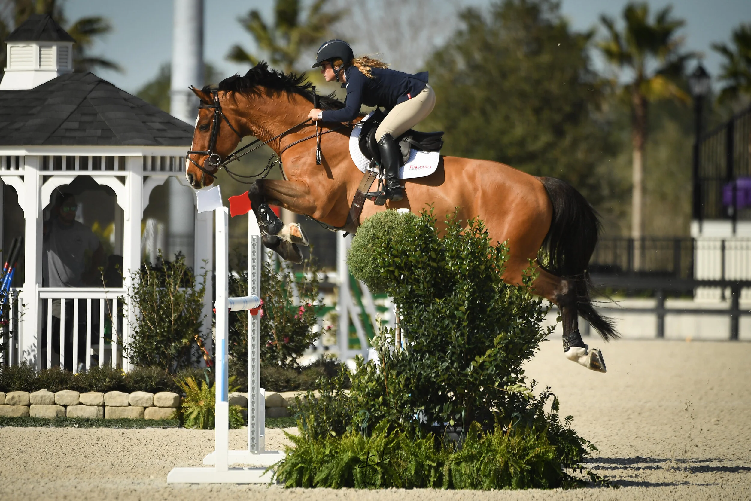 Gallery — Punchestown Stable