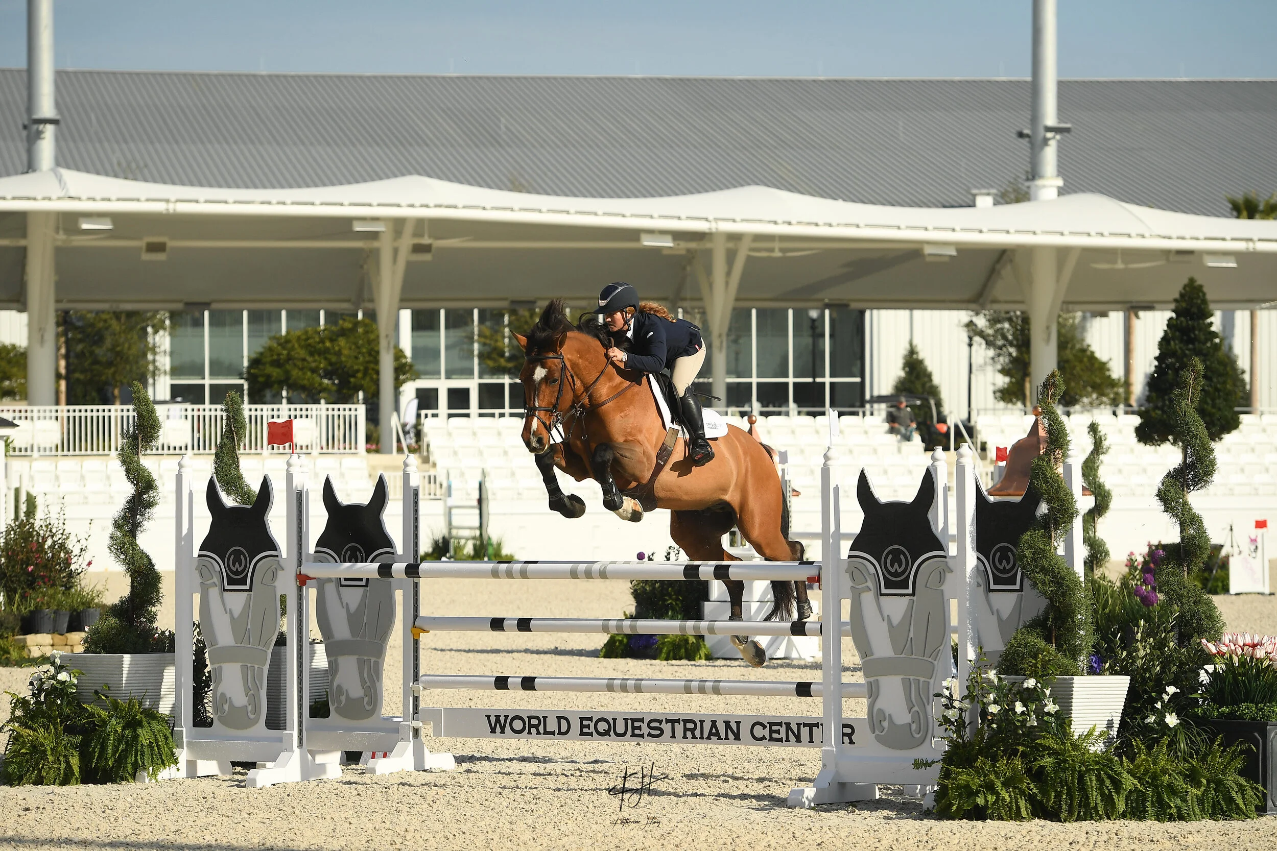 Gallery — Punchestown Stable