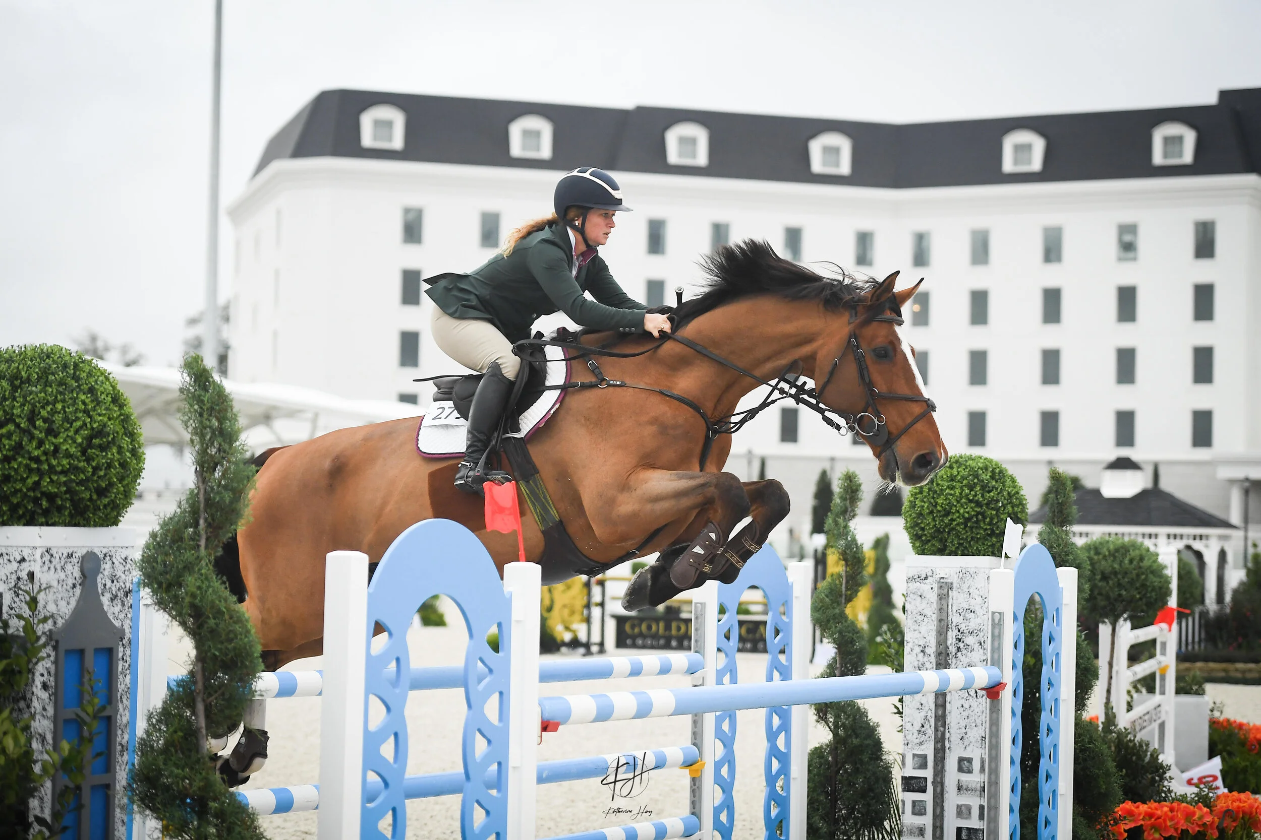 Gallery — Punchestown Stable