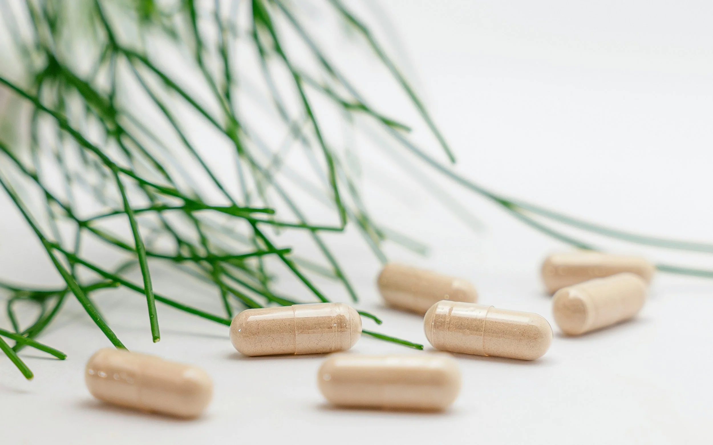 The Probiotic Playbook