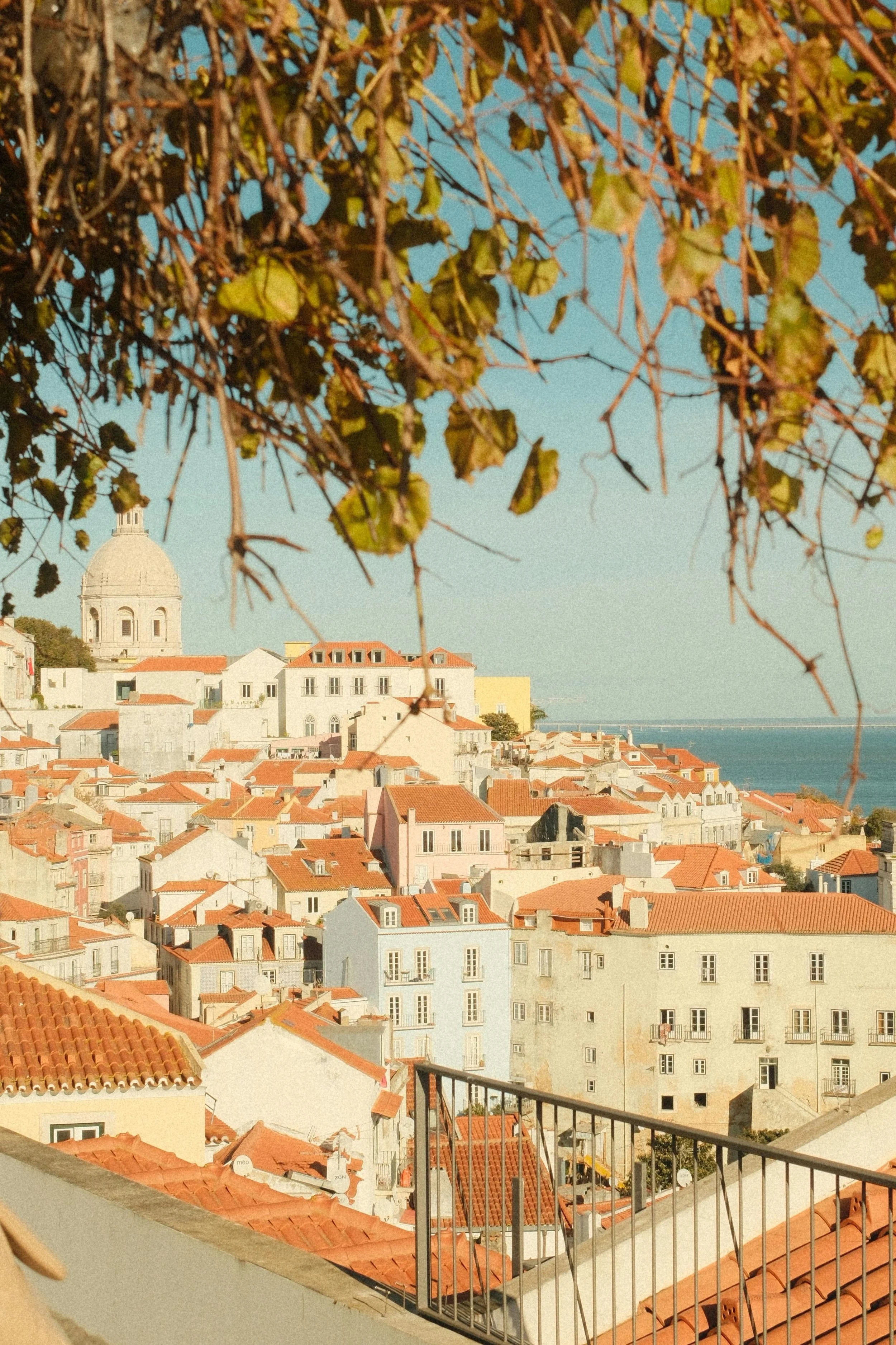 The Lisbon Guide